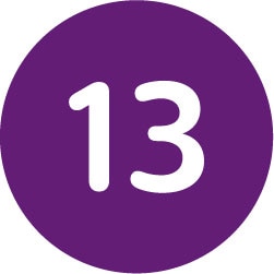 ícone de círculo 13
