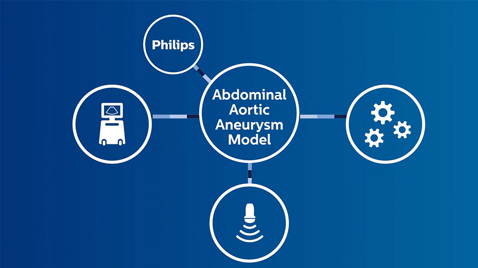 Modelo de aneurisma da aorta abdominal