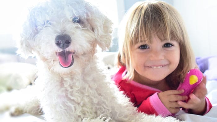 As crianças com asma podem ter animais em casa