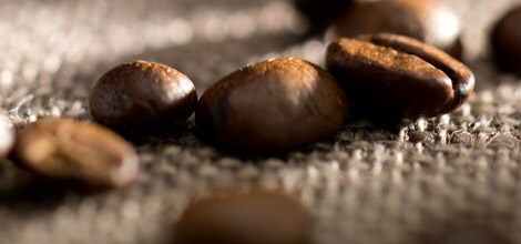 Há mais de 50 espécies de café