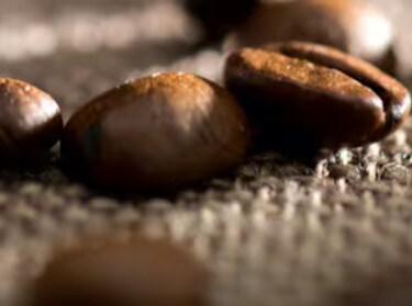 Grãos de café orgânicos
