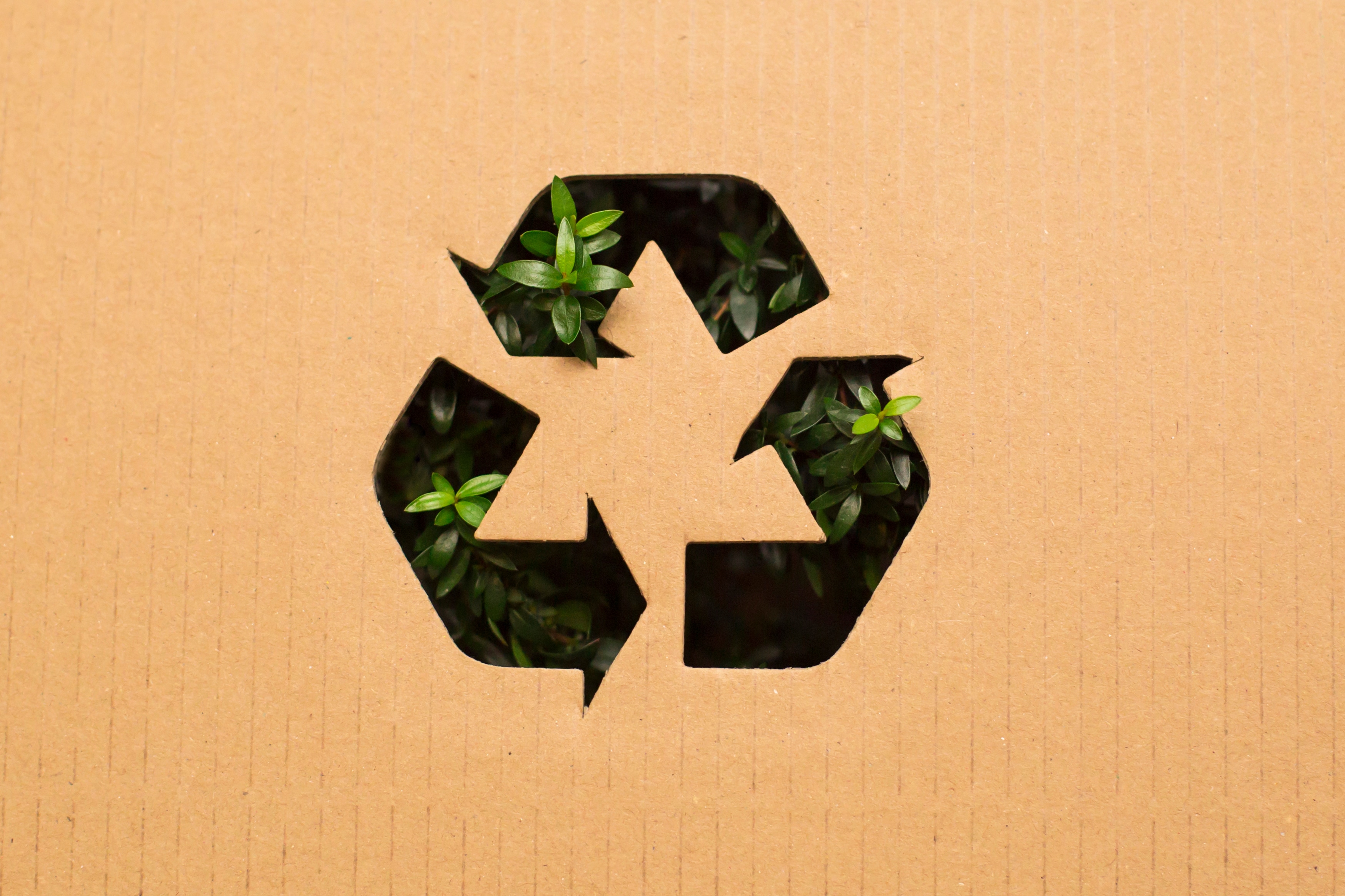 Gama de monitores sustentáveis e ecológicos