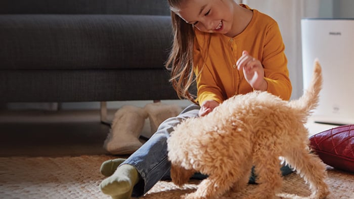 Como limpar pelos de cão e gato