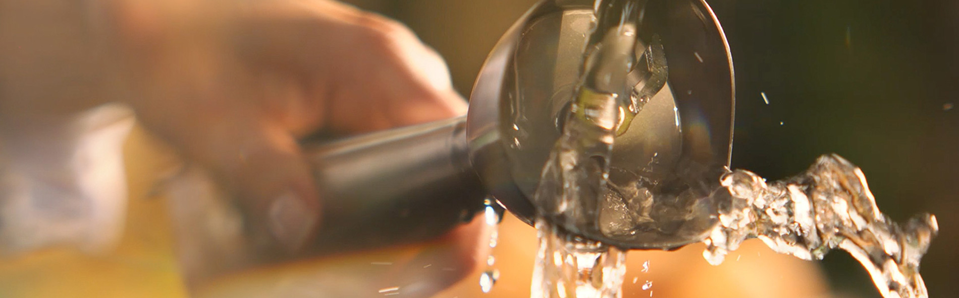 Creme de ab&oacute;bora