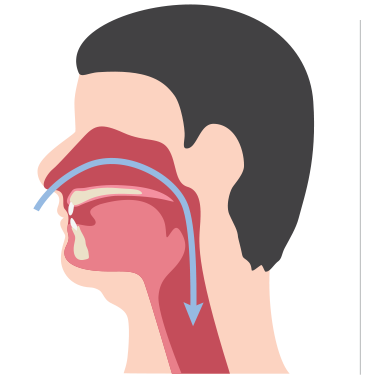 Vias respiratórias não obstruídas e obstruídas