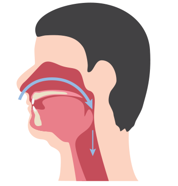 Vias respiratórias não obstruídas e obstruídas