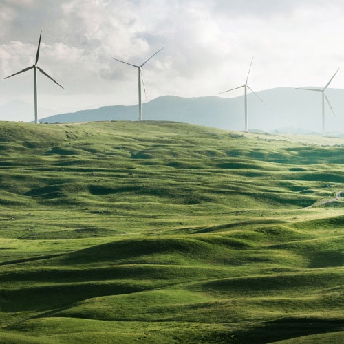Fotografia de uma encosta verde com turbinas eólicas a girar para criar energia renovável, em segundo plano.